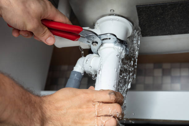 Best Mold removal after water damage  in Milford, IA