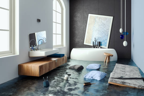 Best Carpet water damage restoration  in Milford, IA