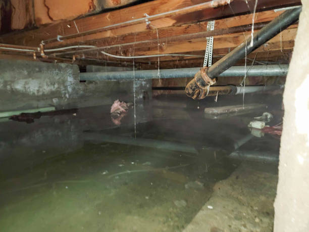 Water damage restoration experts in IA