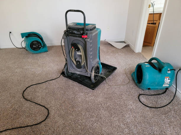 Best Water damage restoration mold remediation  in Milford, IA