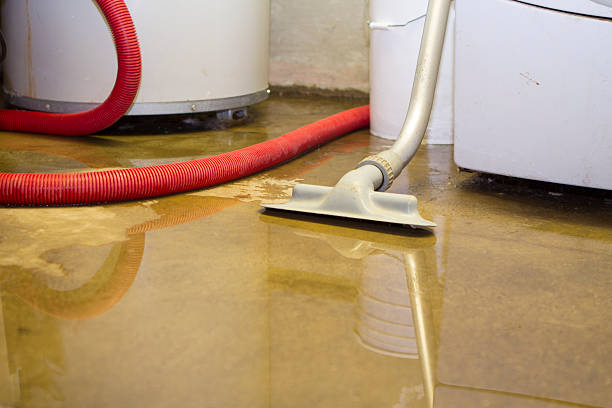 Best Ceiling water damage repair  in Milford, IA