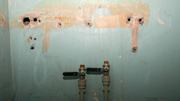 Best Flood damage cleanup  in Milford, IA