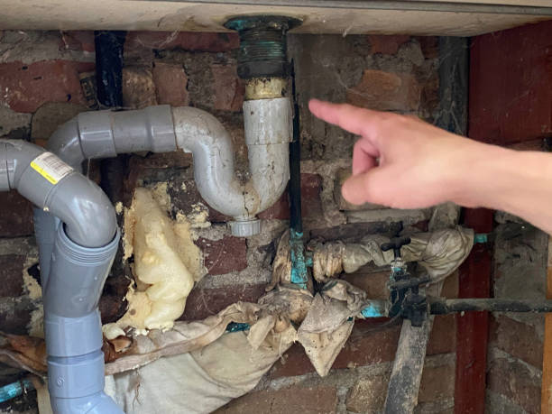 Best 24/7 water damage repair  in Milford, IA
