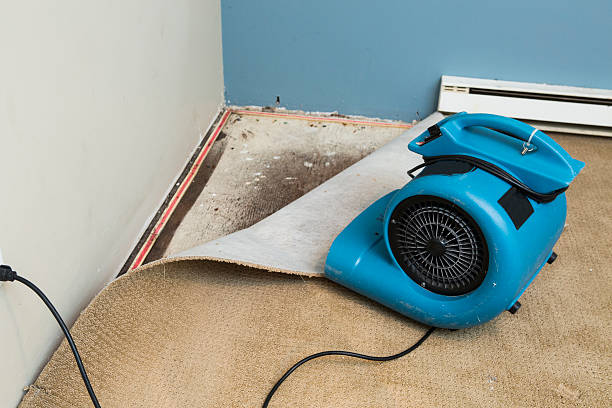  Milford, IA Water damage restoration Pros